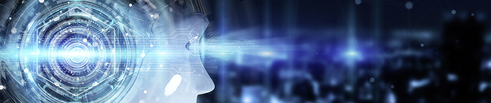 ONLINE Seminar: Der digitalisierte Versicherungsbetrieb: Neue digitale Wege in der Versicherungsbranche, Risiken und Chancen