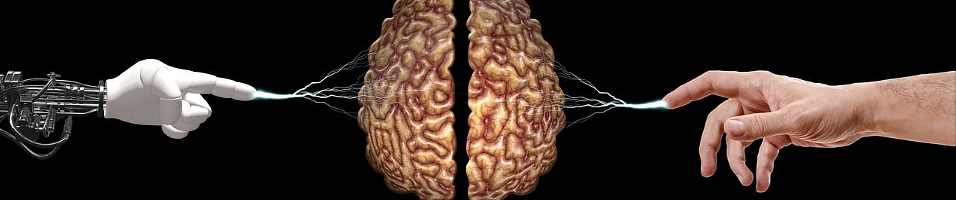 Zertifizierte:r KI-Anwender:in: KI-Führerschein